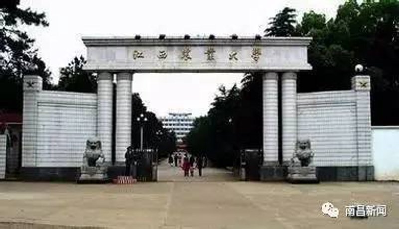 生物技术研发：开启生命科学的新篇章