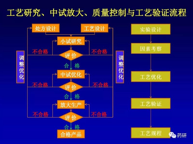 中试放大